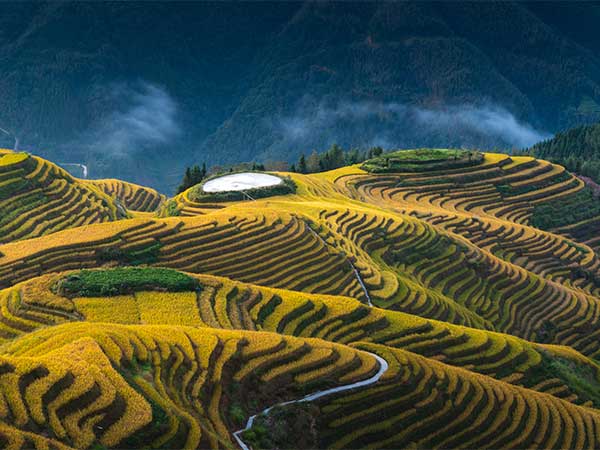 4 Days Best Guilin tour to Yangshuo and Longji Terraces