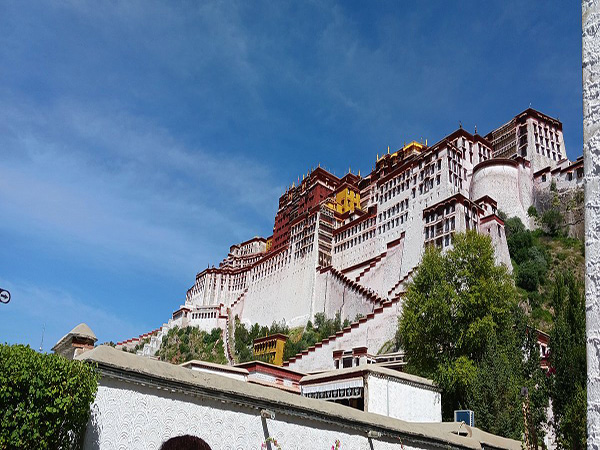 Memorable Tour in China with TCT