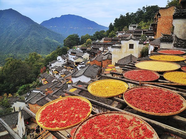 7 Days Photo Tour to Mt. Huangshan, Wuyuan & Mt. Sanqingshan